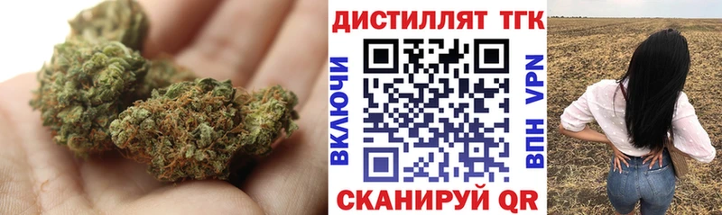 Купить где Терек Дистиллят ТГК концентрат
