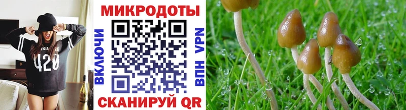 Галлюциногенные грибы MAGIC MUSHROOMS  Купить  Терек 