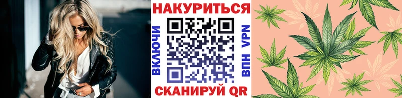Канабис White Widow Терек